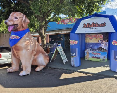 Inflável Promocional Personalizado para Empresas | Destaque sua Marca com Alto Impacto