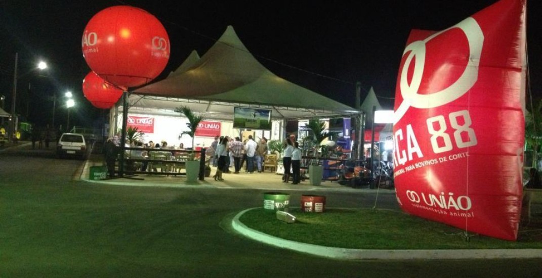 Conheça 4 tipos de eventos para ações com infláveis