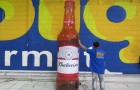 Cerveja Budweiser - Foto 2