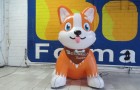 Pet Shop - Foto 1