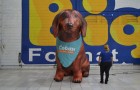 Cachorro inflável grande - Foto 2