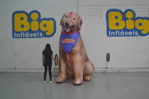 Inflável para pet shop