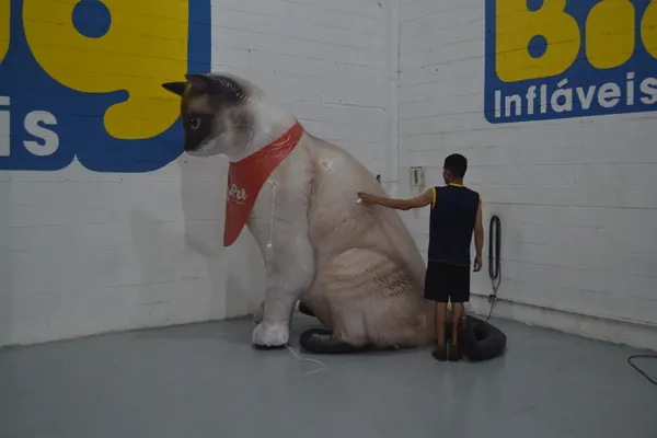 Inflável para pet shop