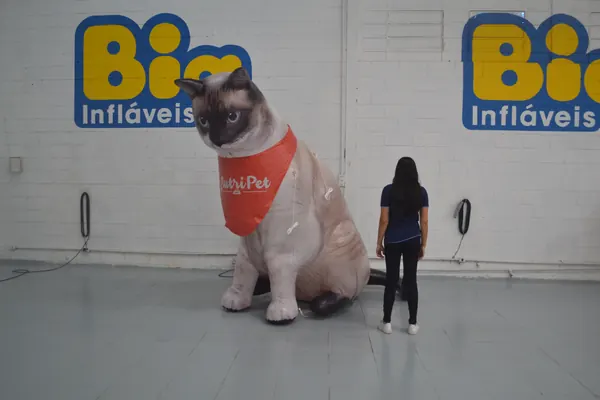 Inflável para pet shop