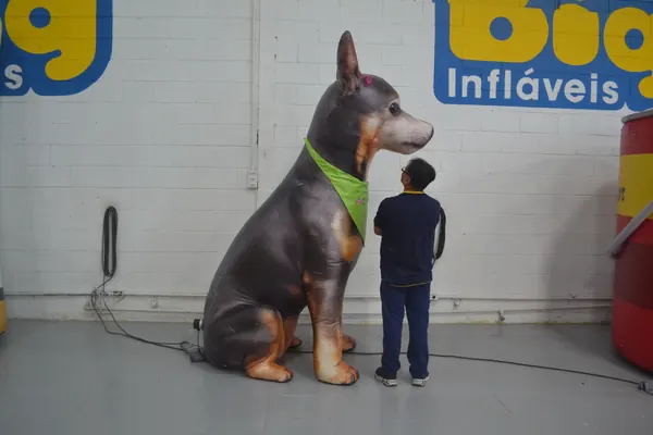 Inflável para pet shop