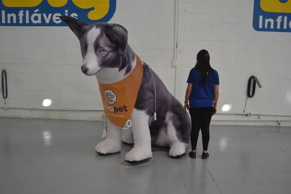 Inflável para pet shop