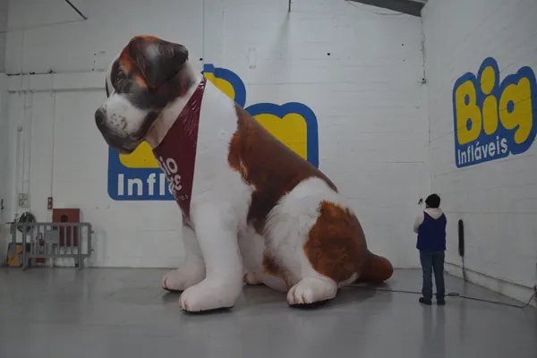 Inflável para pet shop