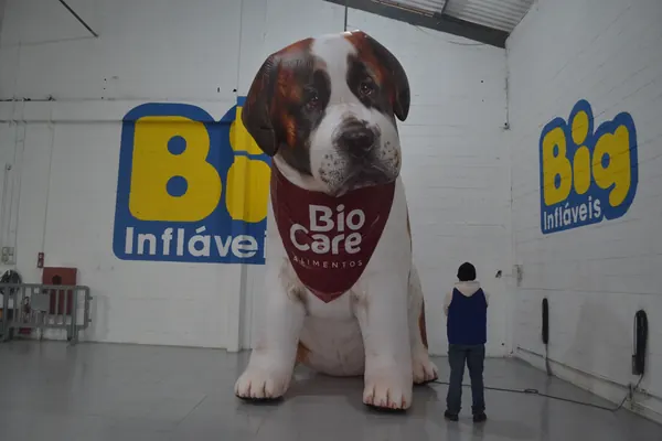 Inflável para pet shop