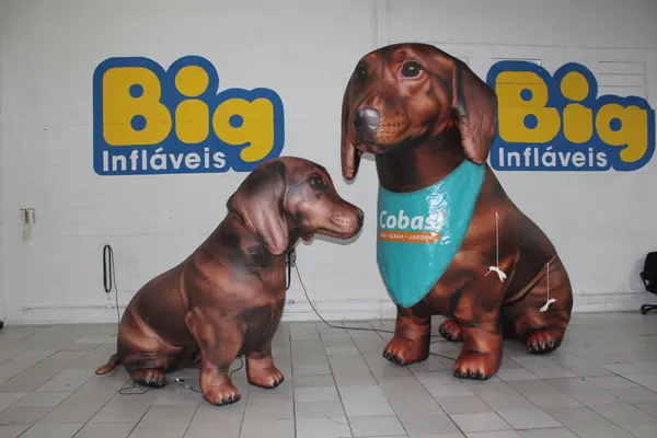 Inflável para pet shop