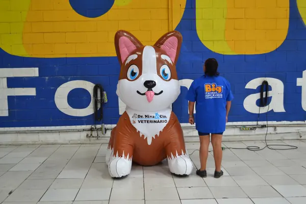 Inflável para pet shop