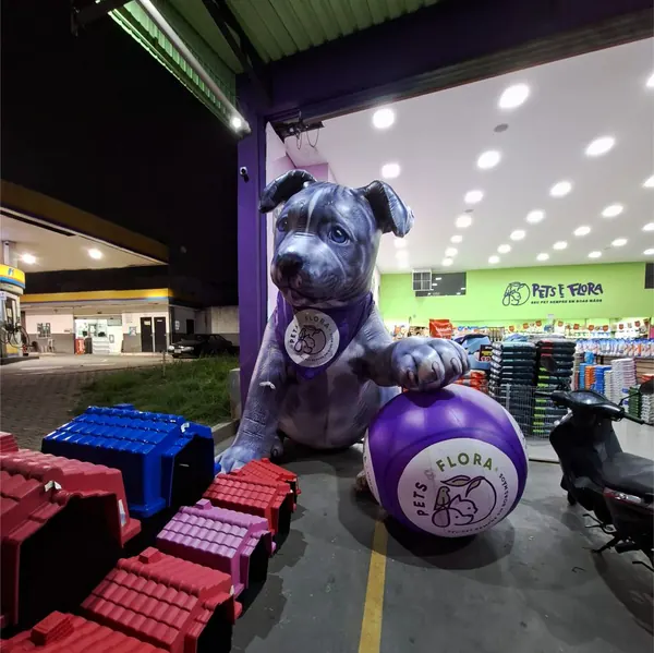 Inflável para pet shop