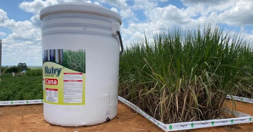 Infláveis para Agronegócio: Potencialize Seu Evento com Impacto Visual