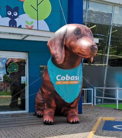 Inflável personalizado